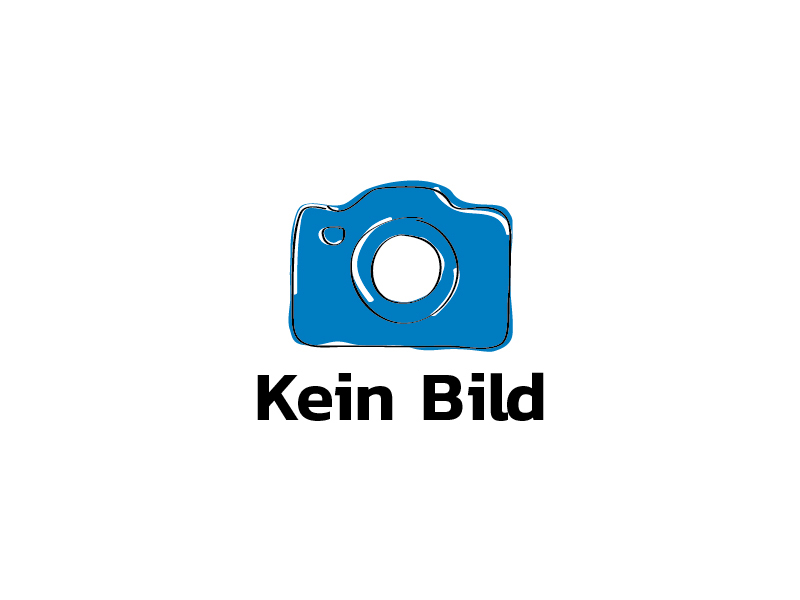 Bild für Lagerschild 6006